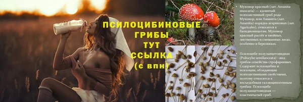 бошки Алексин