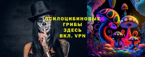 индика Алексеевка