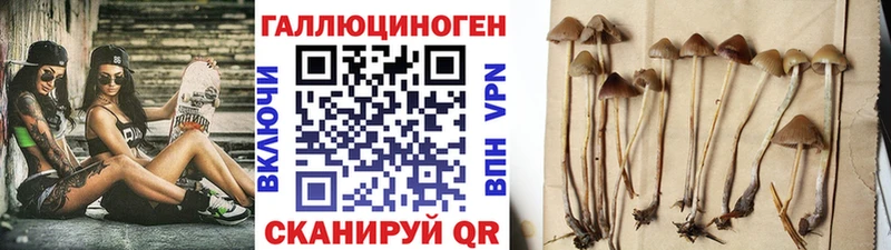 Галлюциногенные грибы GOLDEN TEACHER  Тайшет 
