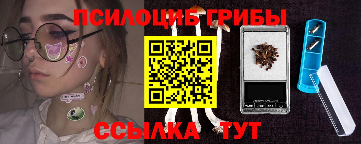 Псилоцибиновые грибы мухоморы Тайшет